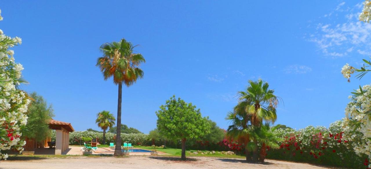 Sa Vinya Villa Campos  Buitenkant foto