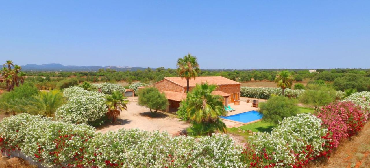 Sa Vinya Villa Campos  Buitenkant foto